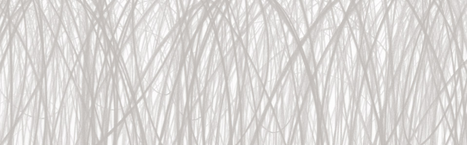 HOME BANNER